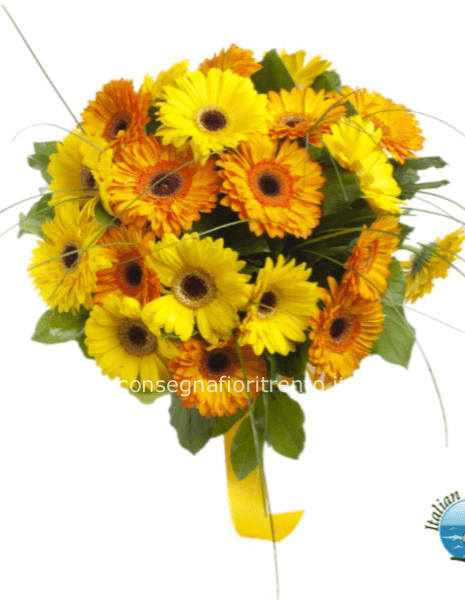 gioia Un mix solare per sorprendere con gioia e calore