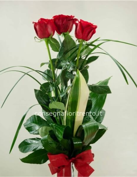Tre per Te ❤️ Mazzo di tre rose rosse stelo lungo