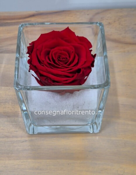 La miglior rosa stabilizzata rossa per il tuo regalo speciale.