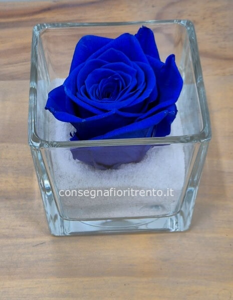 La miglior rosa stabilizzata blue per il tuo regalo speciale.