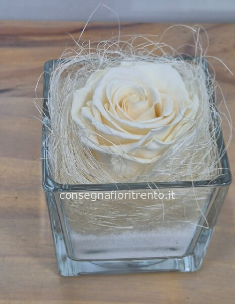 La miglior rosa bianca stabilizzata per il tuo regalo speciale. 