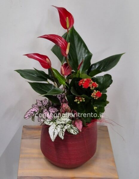 Composizione in vaso di ceramica