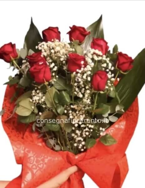 MAZZO DI 9 ROSE ROSSE  STELLO LUNGO